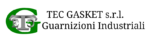 TEC GASKET S.R.L